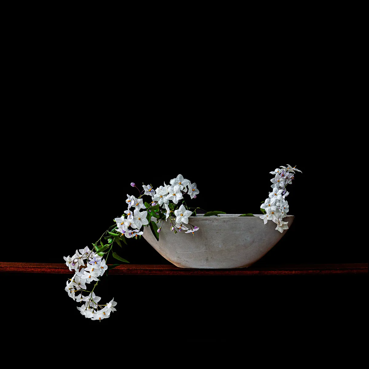A Measured Arrangement
