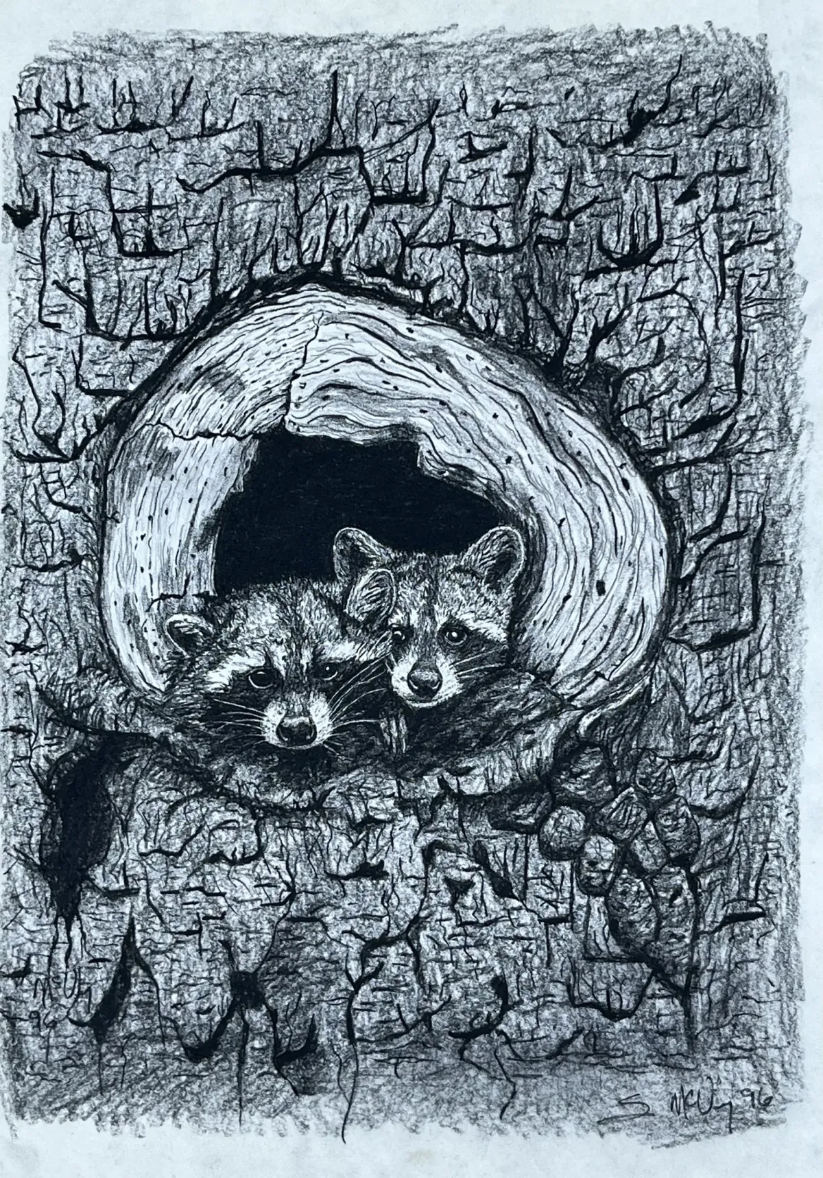 Racoon Kits