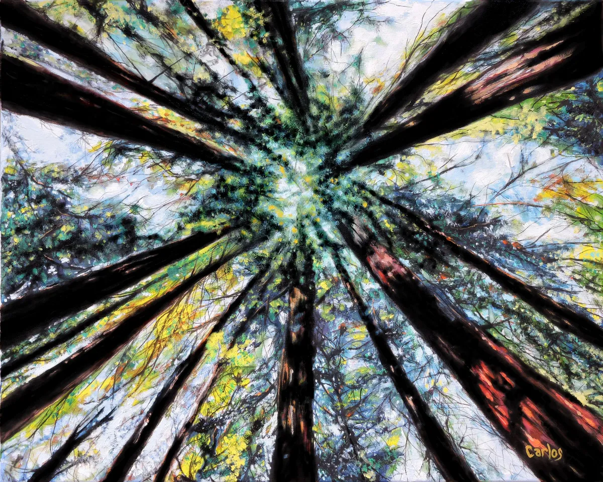 Redwood Cathedral
