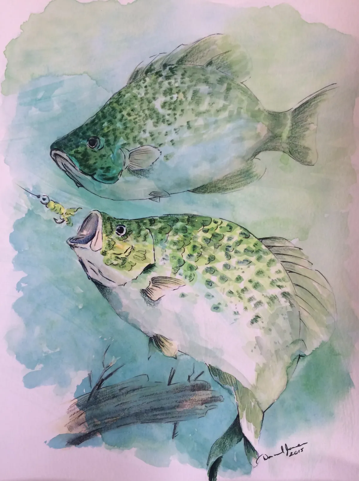"The Crappie Are Biting"