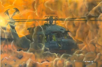 Black Hawk Through Orange Haze