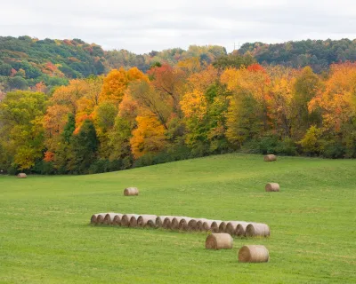 Autumn Field with Hay Bales