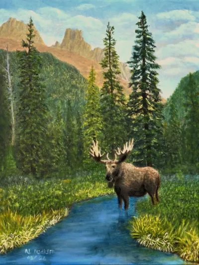 Montana Moose