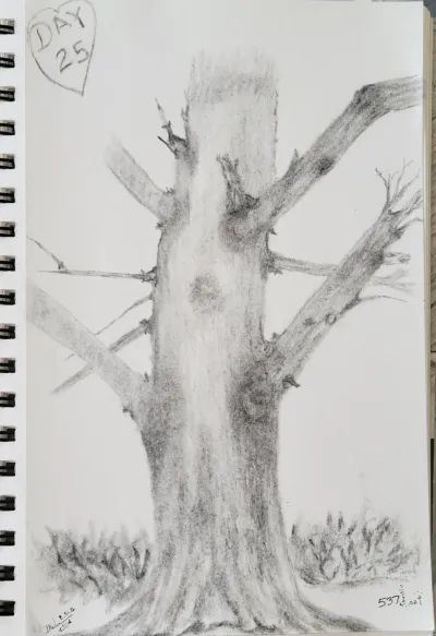 Charcoal Tree Study, Day 25