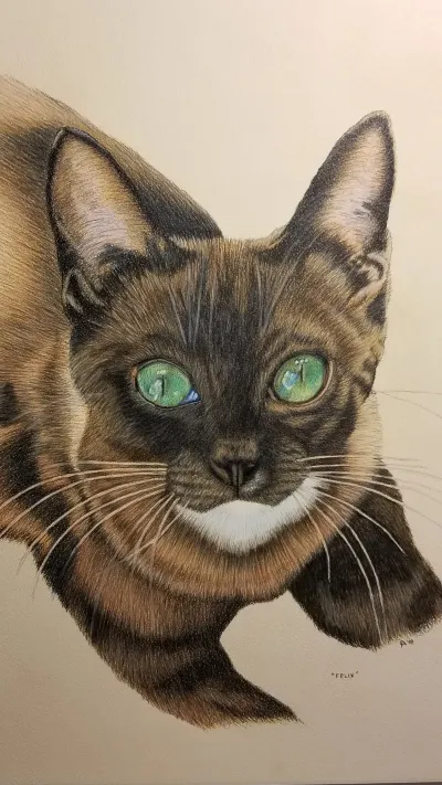 Emerald-Eyed Felix